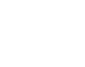 ledger_logo